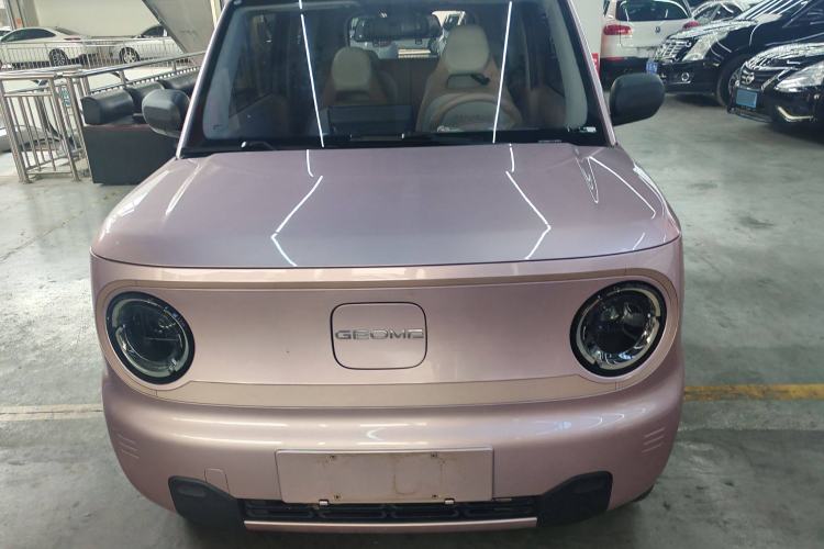 Used  Panda 2023 Panda Mini 200km Endurance Bear
