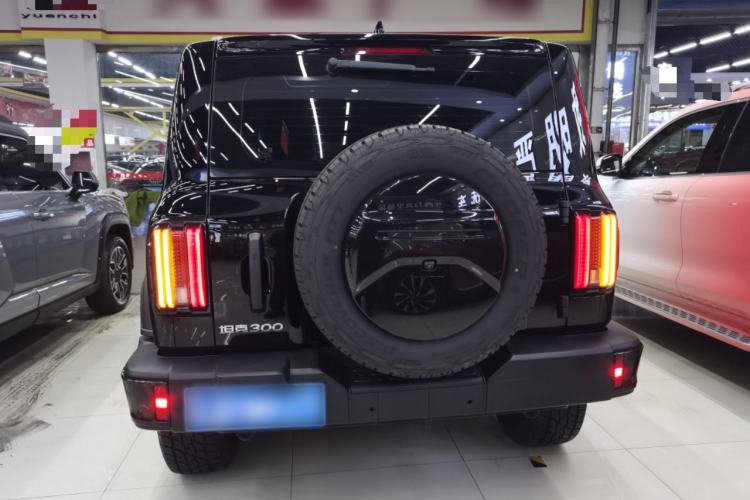 Used Tank 300 2024 2.0T Conqueror