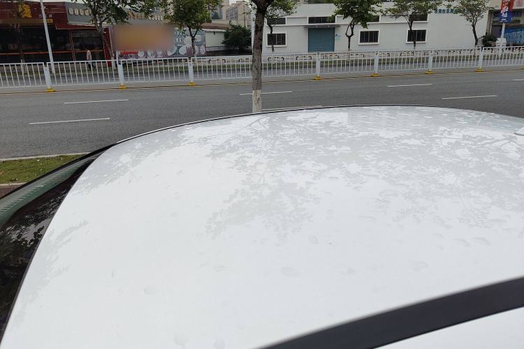 Used Ford Focus 2015 Sedan 1.6L Automatic Comfort Model
