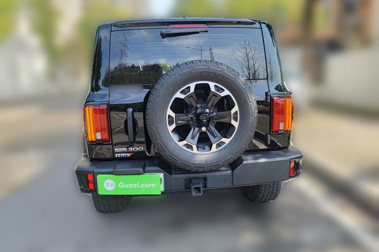 Used Tank 300 New Energy 2025 Hi4-T