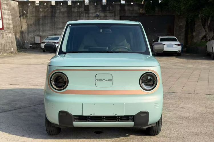 Used  Panda 2024 Panda Mini 200km Endurance Bear
