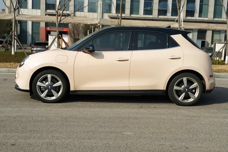 Used ORA Good Cat 2022 Morandi Edition 400km Standard Range Premium Version Lithium Iron Phosphate