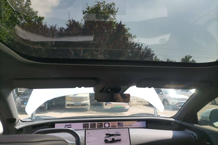 Used  07 2024 Pro Pure Electric Version
