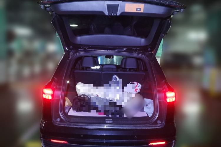 Used Geely Auto Monjaro L 2024 2.0TD DCT EVO Two-Wheel Drive Long-Range Version
