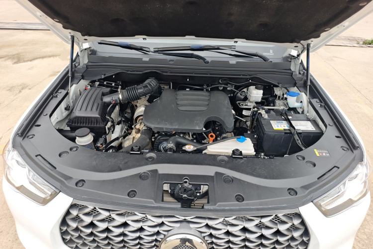 Used Great Wall Poer 2021 2.0T Commercial Version Manual Diesel Two-Wheel Drive Elite Long-Box GW4D20M