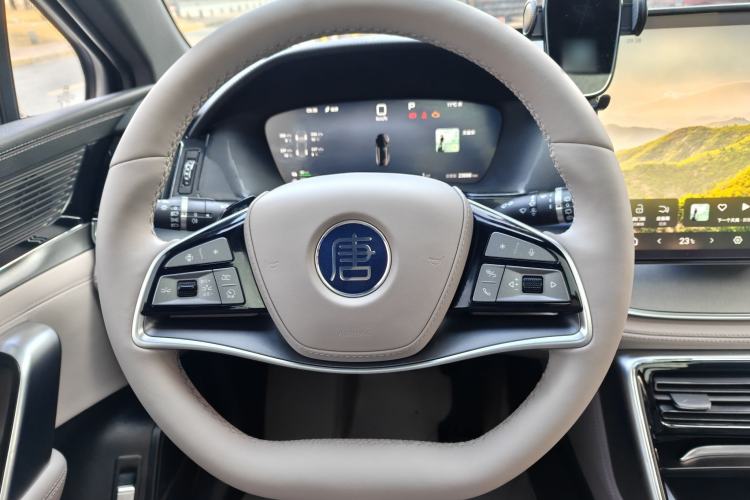 Used BYD Tang New Energy 2025 DM-i 115KM Prestige Model