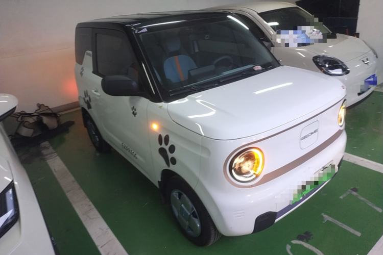 Used  Panda 2023 Panda Mini 200km Endurance Bear
