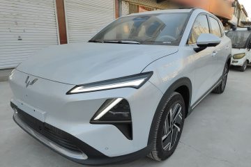 Used Wuling Xingguang S 2024 130 km Flagship Version