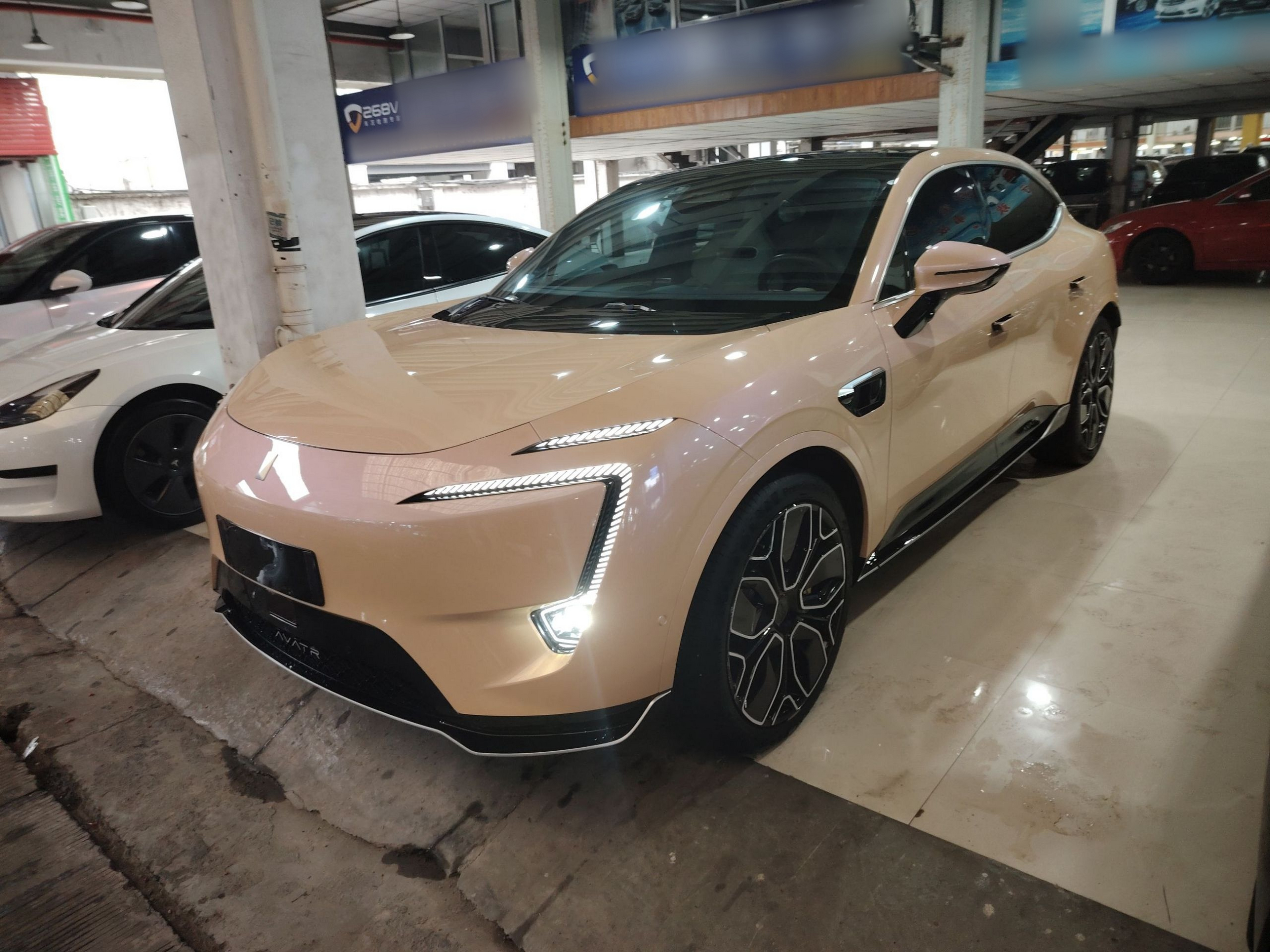 تحت مقدمة السيارة