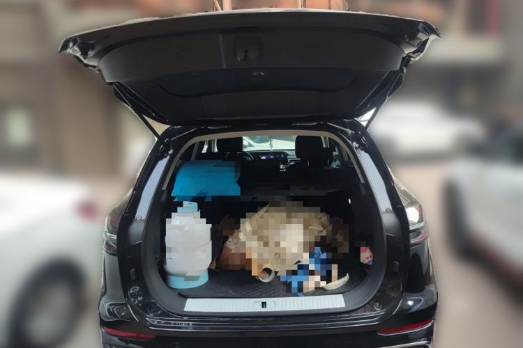 Used Hongqi HS5 2023 2.0T Qiyue Pro Edition
