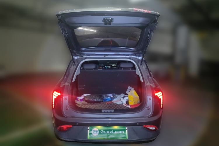 Used NETA V 2021 Long-Range Entertainment Edition Upgrade Model
