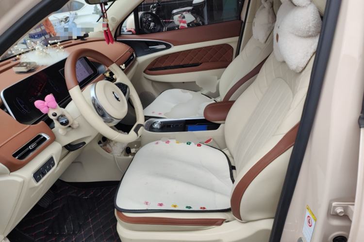 Used ORA Good Cat 2022 Morandi Edition 400km Standard Range Luxury Version Lithium-Ion Battery