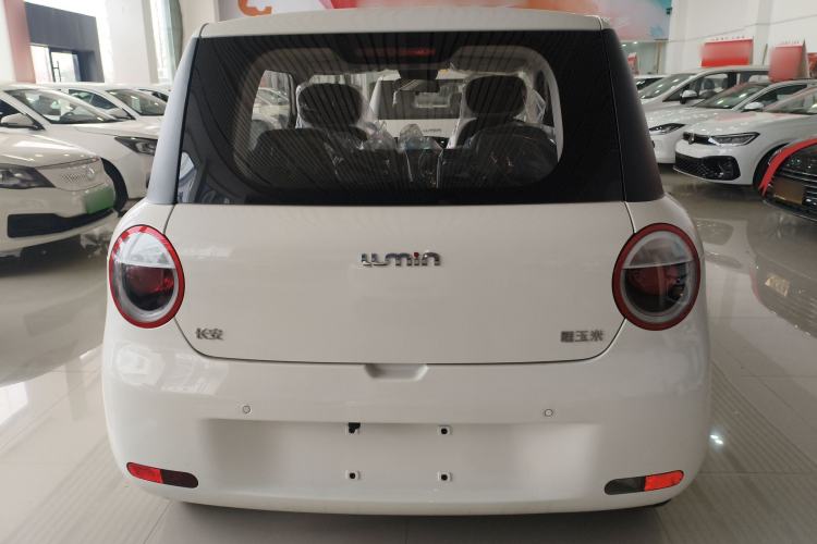 Used  Lumin 2025 205 km Xiangqin Version