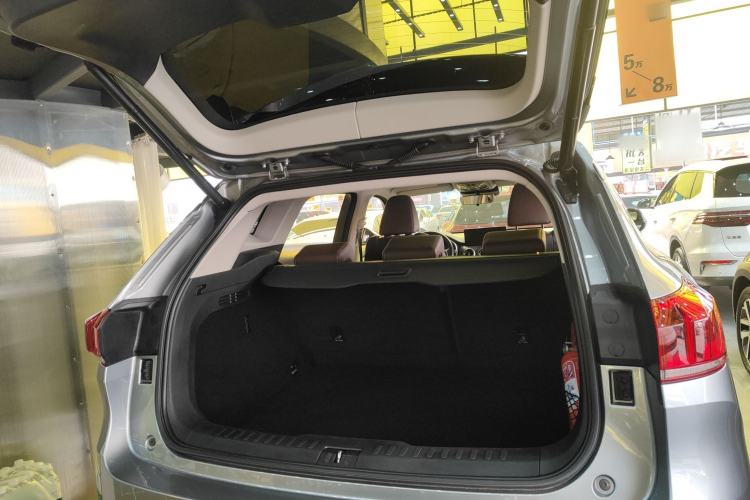 Used Wey VV6 2021 2.0T Two-Wheel Drive Smart Protection+
