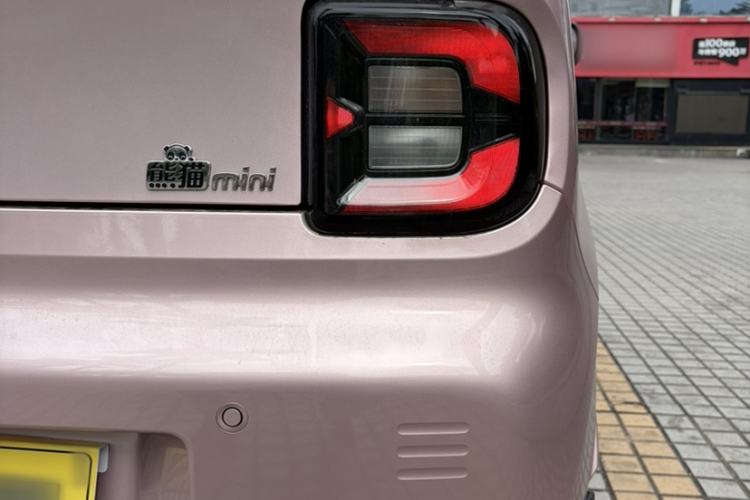 Used  Panda 2023 Panda Mini 200km Endurance Bear
