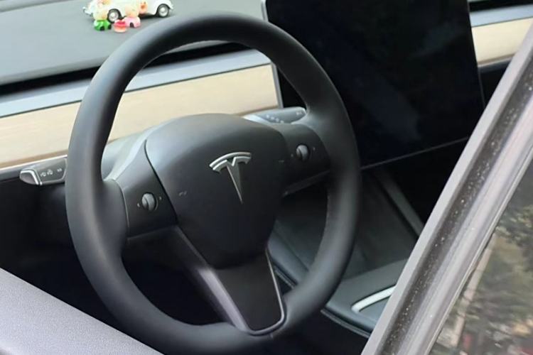 Used Tesla Model Y 2021 Standard Range Rear-Wheel Drive Version
