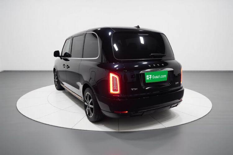 Used  TX 2022 TX5 Extended-Range Space Enjoyment Edition
