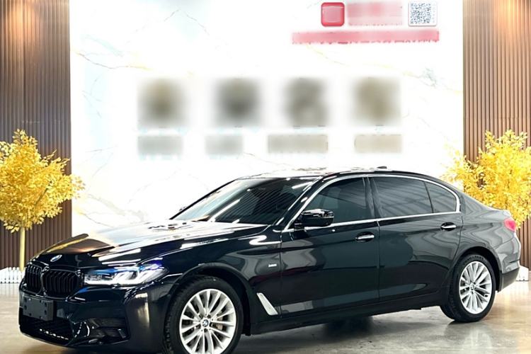 Used BMW 5 Series 2018 530Li Leading Edition Luxury Package
