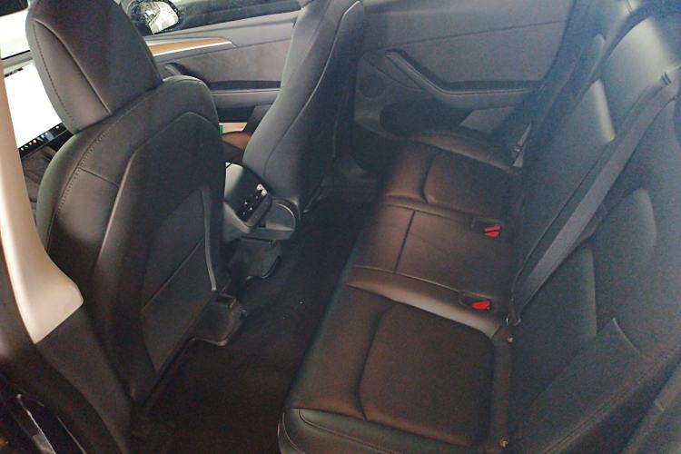 Used Tesla Model Y 2021 Standard Range Rear-Wheel Drive Version
