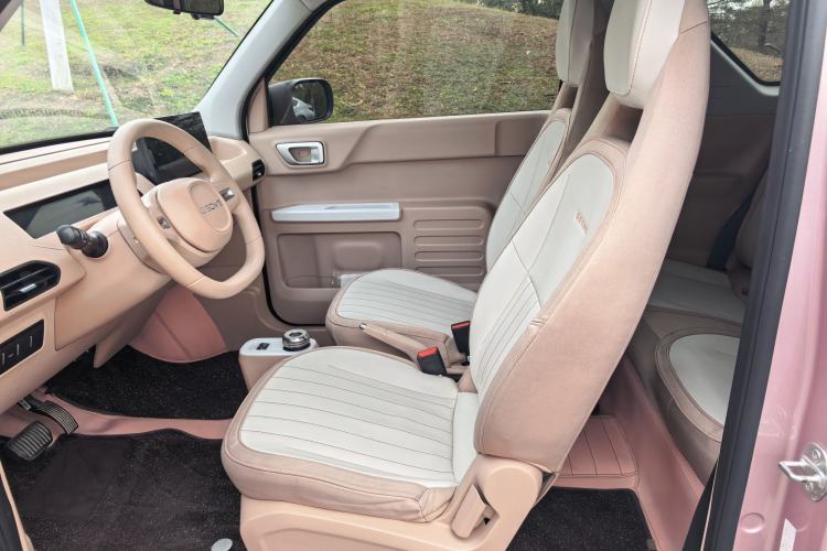 Used  Panda 2023 Panda Mini 200km Endurance Bear
