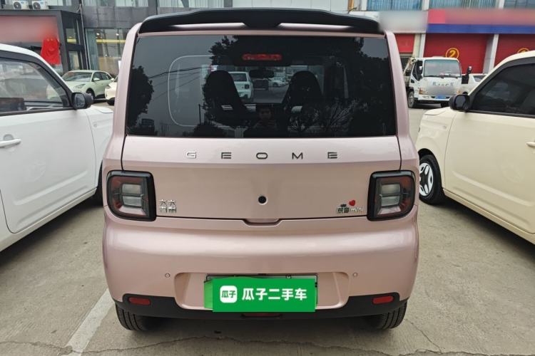Used  Panda 2025 210 km – Yuanqi Bear