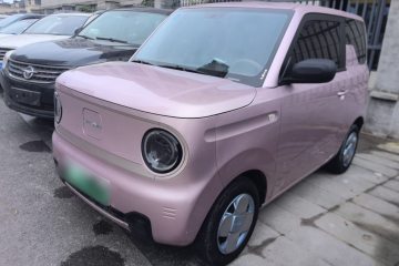 Used Geely Galaxy Panda 2023 Panda Mini 200km Endurance Bear
