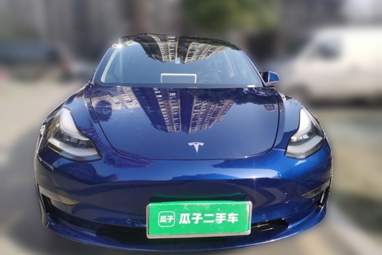 Used Tesla Model 3 (Import) 2019 Long-Range Rear-Wheel-Drive Version
