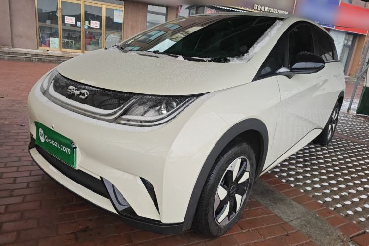 Used BYD Dolphin 2025 420km Free Edition
