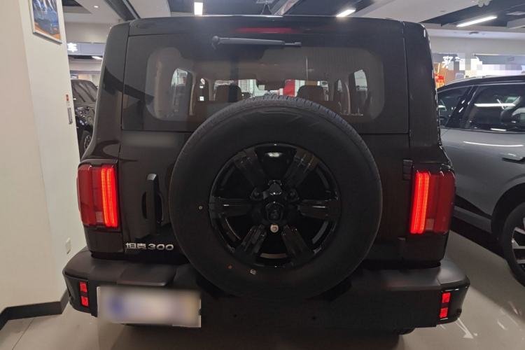 Used Tank 300 2025 2.0T Conqueror