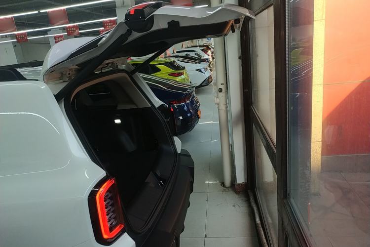 Used Haval DARGO 2024 2.0T DCT Chinese Rural Dog Edition
