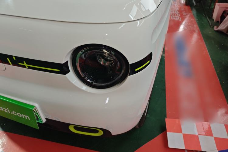 Used  Panda 2025 210 km – Yuanqi Bear
