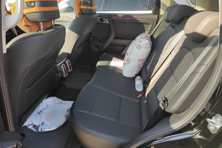 Used Haval DARGO 2024 2.0T DCT Chinese Rural Dog Edition