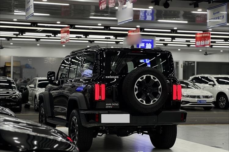 Used Tank 300 New Energy 2025 Hi4-T
