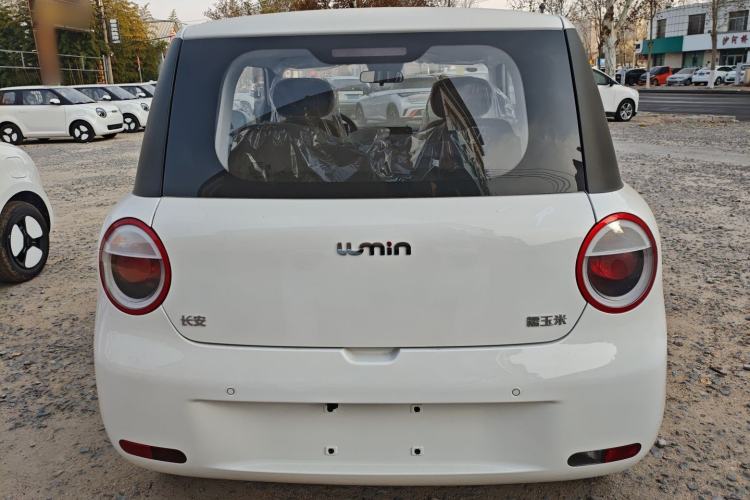 Used  Lumin 2025 205 km Xiangqin Version
