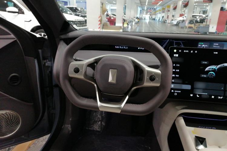 Used  06 2025 Pro Range-Extended Edition