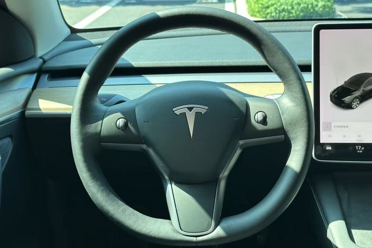 Used Tesla Model Y 2021 Standard Range Rear-Wheel Drive Version
