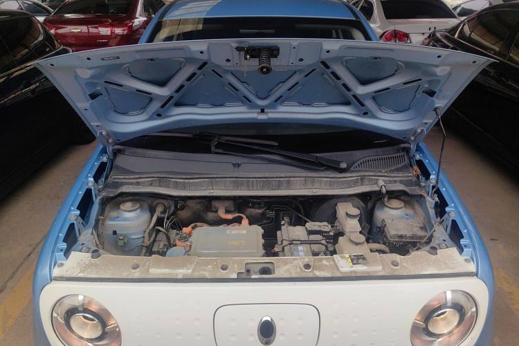 Used ORA Black Cat 2021 301 km Basic Version
