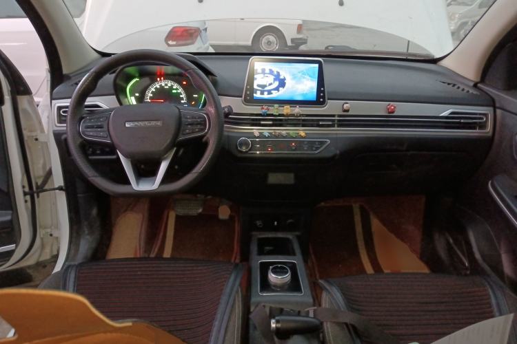 Used Dayun Yuehu 2022 300 Standard Edition
