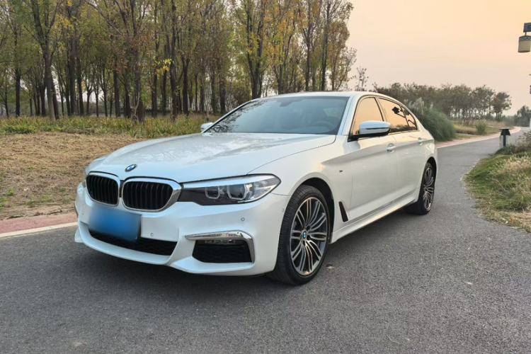 Used BMW 5 Series 2019 530Li Leading Model M Sport Package
