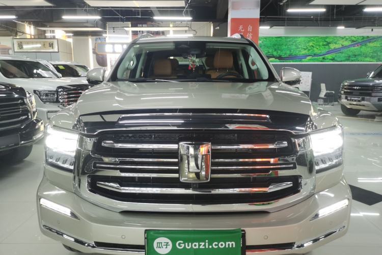 Used Tank 500 New Energy 2024 Hi4-T
