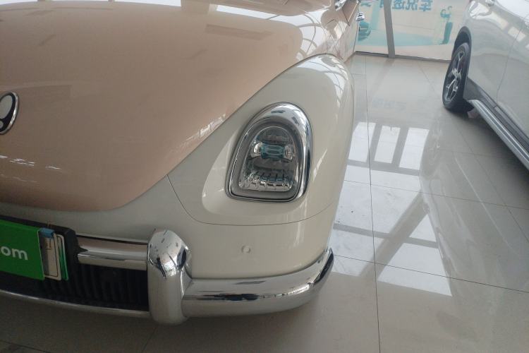 Used ORA Ballet Cat 2022 401 km Nutcracker Edition
