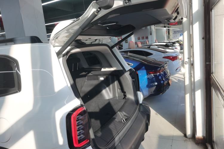 Used Haval DARGO 2024 2.0T DCT Chinese Rural Dog Edition