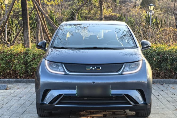 Used BYD Dolphin 2025 420km Free Edition
