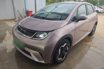 Used BYD Dolphin 2021 405 km Fashion Edition