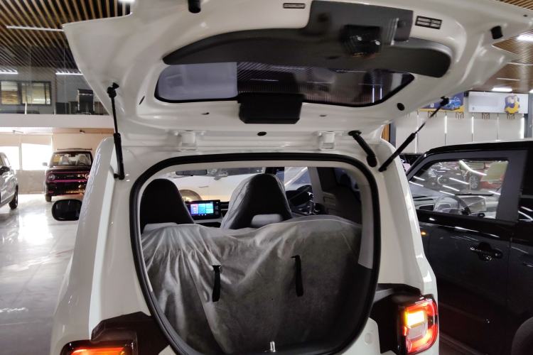 Used  Panda 2024 Panda Mini 200km Endurance Bear
