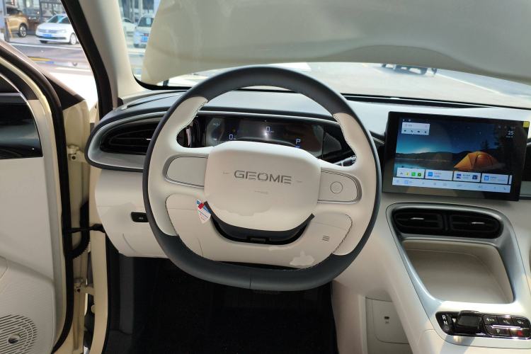 Used  Geome 2025 310km Youth Edition
