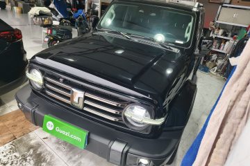 Used Tank 300 2023 City Edition 2.0T My Vision Model