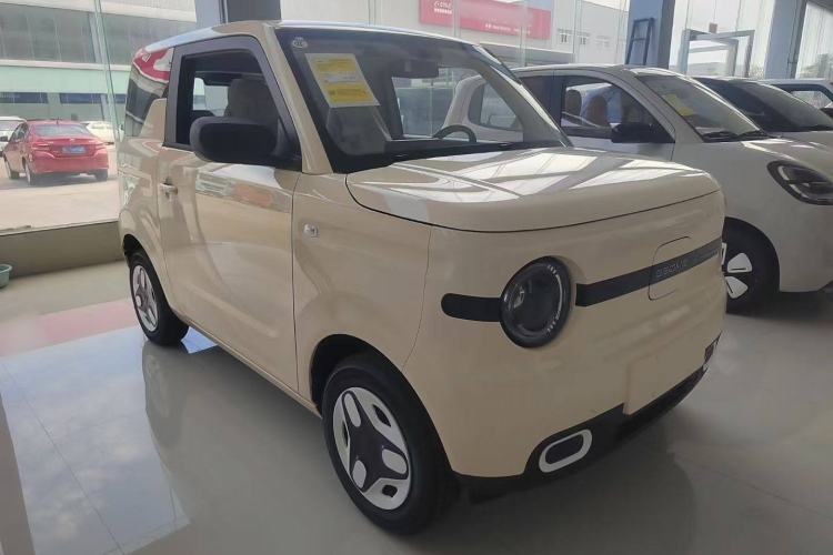 Used  Panda 2025 210 km – Yuanqi Bear
