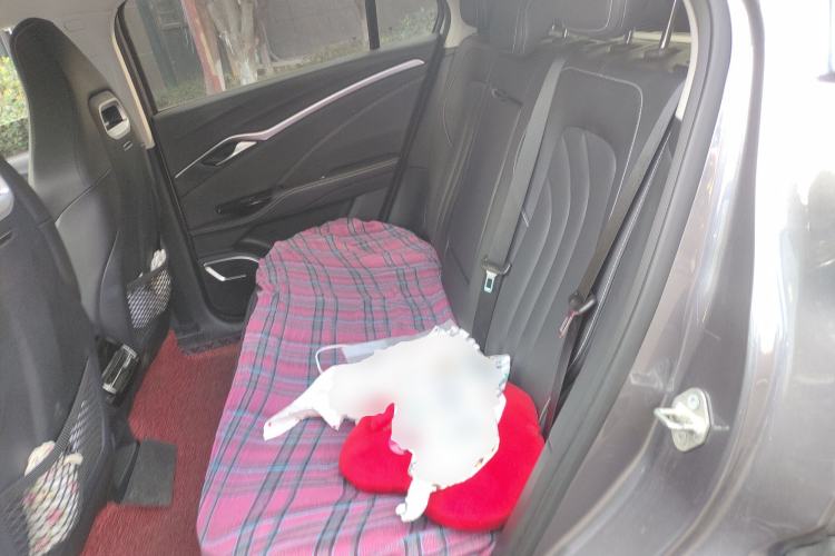 Used NETA U 2021 Pro 400 Cruiser Edition
