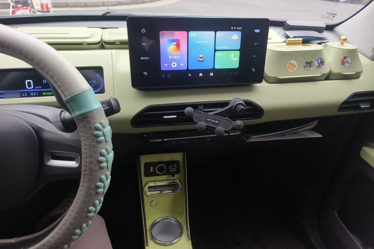 Used  Panda 2023 Panda Mini 200km Endurance Bear
